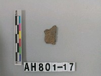 藏品(灰色夾砂陶片)的圖片